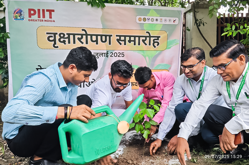Tree Plantation Drive at PIIT