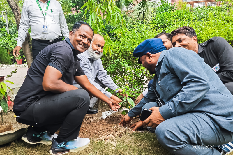 Environment Day Celebration at PIIT